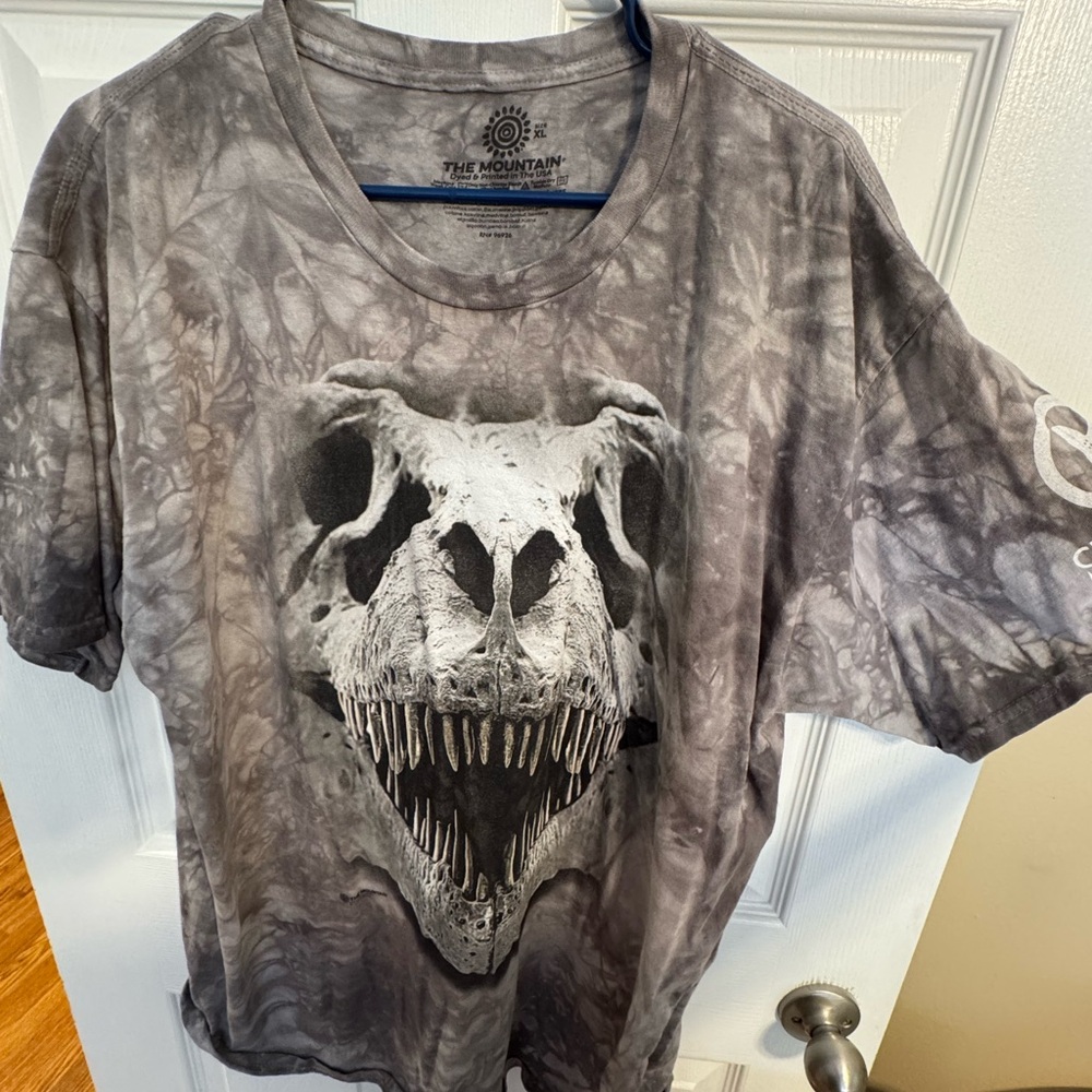The Mountain Gray Dinosaur Skull Tee